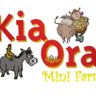 KiaOraMiniFarm1's profile picture. Award winning open farm with real diggers, maze, fire engine ride, sandpits, gokarts etc in #Gorey #Wexford #IrelandsAncientEast kiaoraminifarm.ie