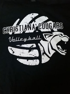 chmsvolleyball1 Profile Picture