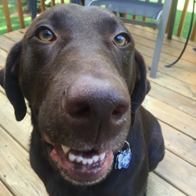 rootbeerfloat2's profile picture. If you need my bio, you should introduce yourself.