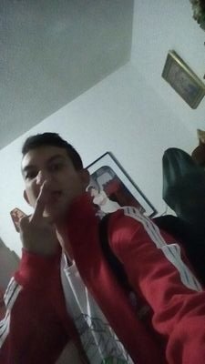 _SebasFajardo's profile picture. solo los solos