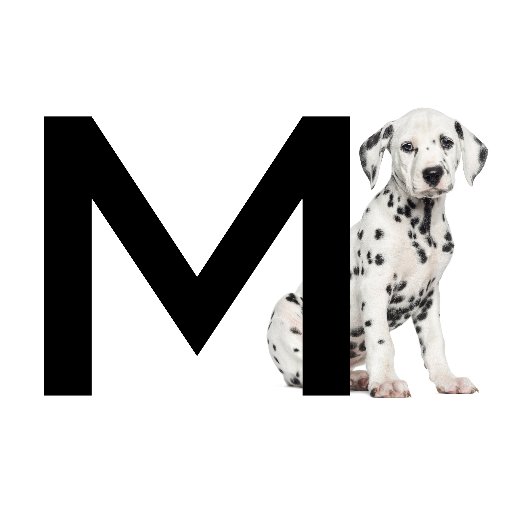 Coming Soon! minipooch is a digital retailer of traditional and contemporary lifestyle products for your beloved cats and dogs.