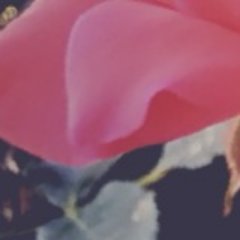 _vvoes's profile picture. sad dads