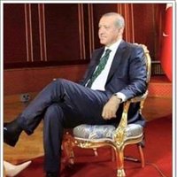 Sultan Candan Bucak 🟢(@YesiliArmagan) 's Twitter Profileg