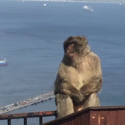 andybillingham1's profile picture. 