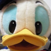 ミネ(@minedona) 's Twitter Profile Photo