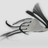 parallaxtremont's profile image