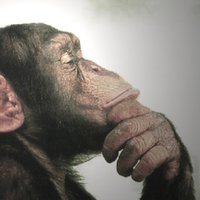 Rational Powers (@rationalpowers) Twitter profile photo