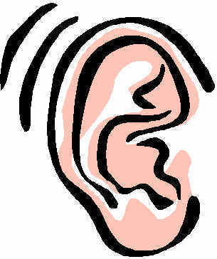 Informationen zu Thema mp3 und Musik umwandeln, speicher, rippen, konvertieren etc..