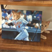 Dan Ski (@dskibin22) 's Twitter Profile