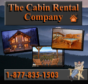 tennesseecabins's profile picture. Whether you are looking for the perfect spot for a romantic weekend or a special outing with family and friends, we have the Pigeon Forge Cabins for you.