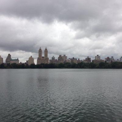 TheMeshman's profile picture. Opinions are my own.