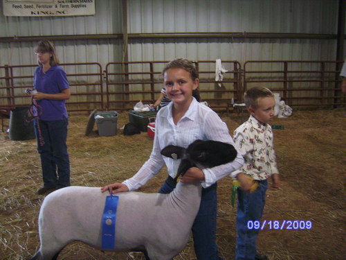 Overworked stay at home mom and substitute teacher, raising sheep to show and eat, great pyrenees rescuer. AGvocate
