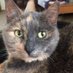 Laurie Baron (@lbaron824) Twitter profile photo Laurie Baron (@lbaron824) Twitter profile photo