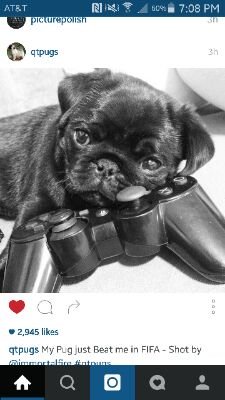 KeannaHughley's profile picture. 