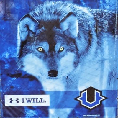 wolves1113 Profile Picture