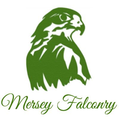 A family run bird of prey display team with over 20 years experience. Static and flying displays. Wedding ring delivery and children's party's.
