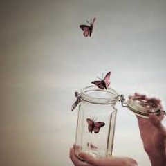 DitaIstiya_'s profile picture. Man jadda waa jadda. Nothing impossible. Berhijrah lebih baik. Be your self~