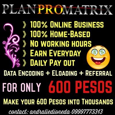 an_ppm's profile picture. Online networking