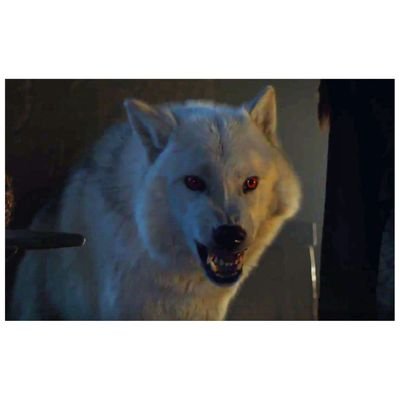 makatanamasaka2's profile picture. 