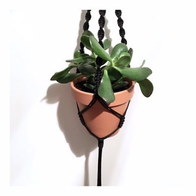 Handmade plant hangers by @formlifestyle Popping up at markets across Mcr 🌱🌿🌵🍃 Find our plant hangers & more in our new NQ shop at 6 Bradley Street M1 1EH 〰