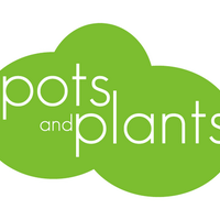 PotsandPlants Miami (@potsplantsmiami) 's Twitter Profile