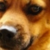 satfy (@satfy) Twitter profile photo