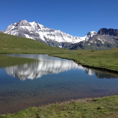 PeterRogiest's profile picture. 