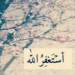 moaaz9791's profile picture. 