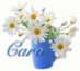 Musician-teacher-blogger-fan of Clay Aiken, Barack Obama, Tar Heels, life!