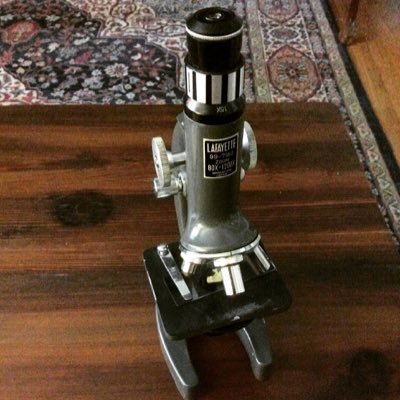 AESMrsKillian's profile picture. Teaching since 1994. Currently teaching M.S. Religion and Science #ILoveHolyCross #ADWFamily #ADWSaints