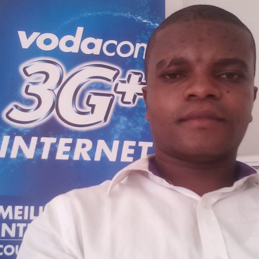 Ingénieur Analyste programmeur, Specialiste en reseau Internet et telecommunication/NTIC.