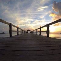 Bites N Sites (@bitesnsites) 's Twitter Profile