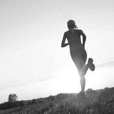 LinhNguyen00's profile picture. 