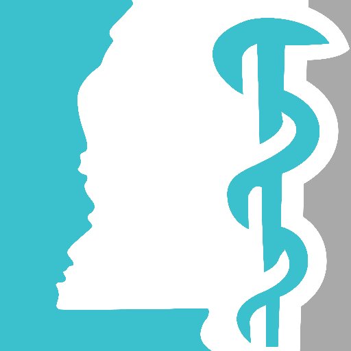 MS State Med Assn Profile