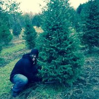 Joe (@fl1ntz) 's Twitter Profile Photo Joe (@fl1ntz) 's Twitter Profile Photo