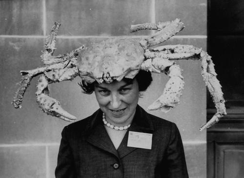My hat is a crab, your argument is invalid!