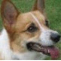 Meg (@outsideofadog07) 's Twitter Profile Photo Meg (@outsideofadog07) 's Twitter Profile Photo