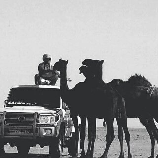 paNr9FiH90U5fOy's profile picture. 