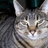 JackieRose413's profile image