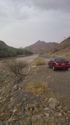 Am985d's profile picture. 