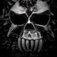 Steve Kameka (@stevekameeks) 's Twitter Profile