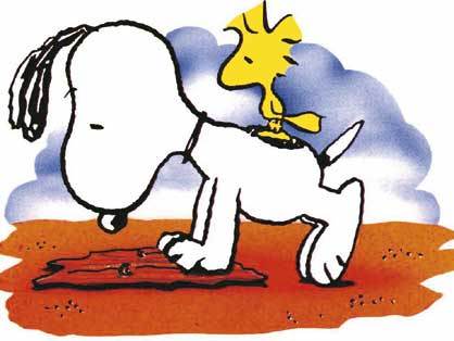 abbeyroadfab4's profile picture. living/loving/thinking/searching/reading/cinema/music/classic/jazz/rock&amp;Pop/Beatles/Bach/Peanuts