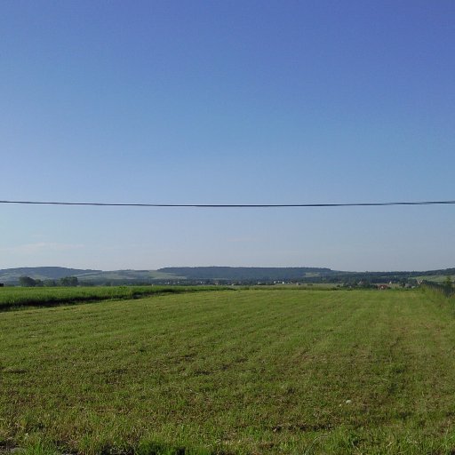 balalala1's profile picture. 