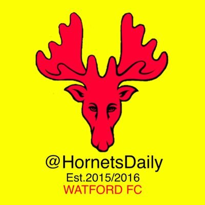A Watford FC Twitter Account. High Quality Hornets Photos & Videos. All The Latest News & Updates.