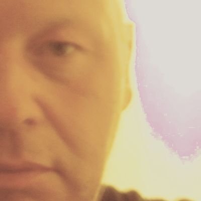 wendtom1's profile picture. Softwareentwickler --- Archäoinformatiker