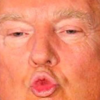 LandoFreedom's profile picture. Lando Free, and the home of the brave! #FormerDem trying to stop #CrookedHillary! #TRUMP2016 #MAGA #PENCELVANIA