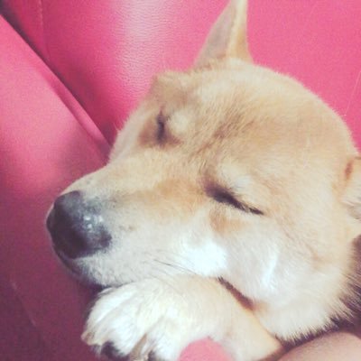 こんちゃ！ 長成2年！ よろしく！@yunyun622にフォローしてー！フォロー外してこっちフォローヨロスク！