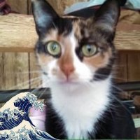 Penny Propst (@pennypropst3) 's Twitter Profile