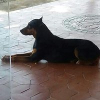 Jesus Vargas (@tauroje) 's Twitter Profile