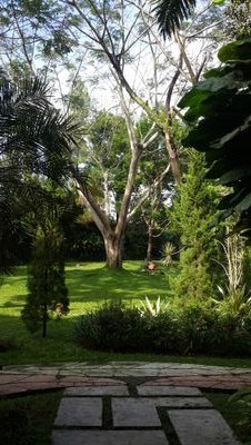 hendrowati's profile picture. 